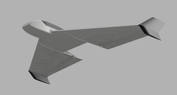Tiny Wing UAV