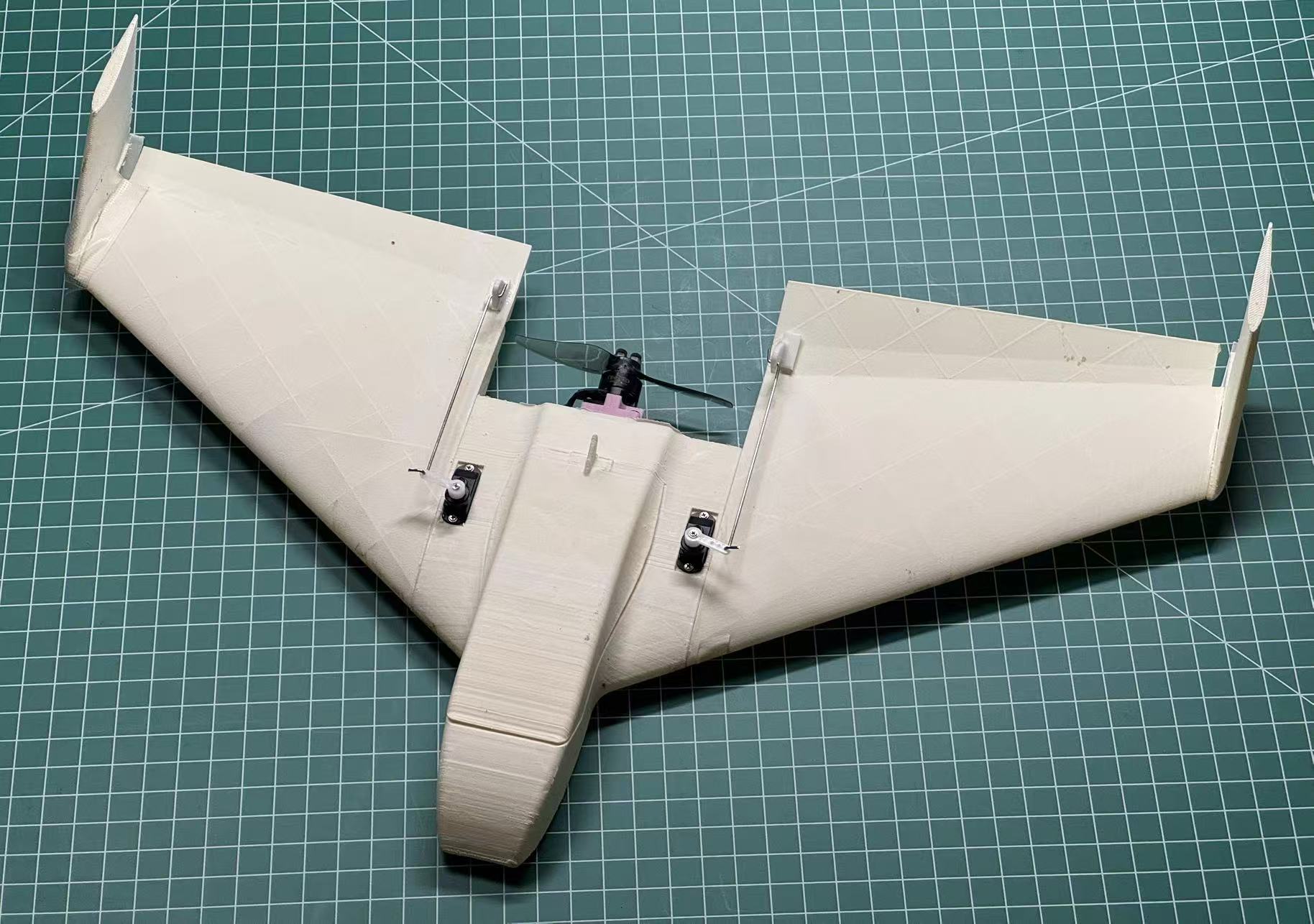 TinyWing